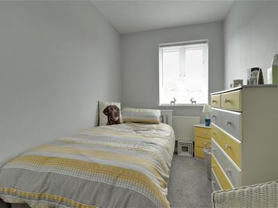 Picture 10